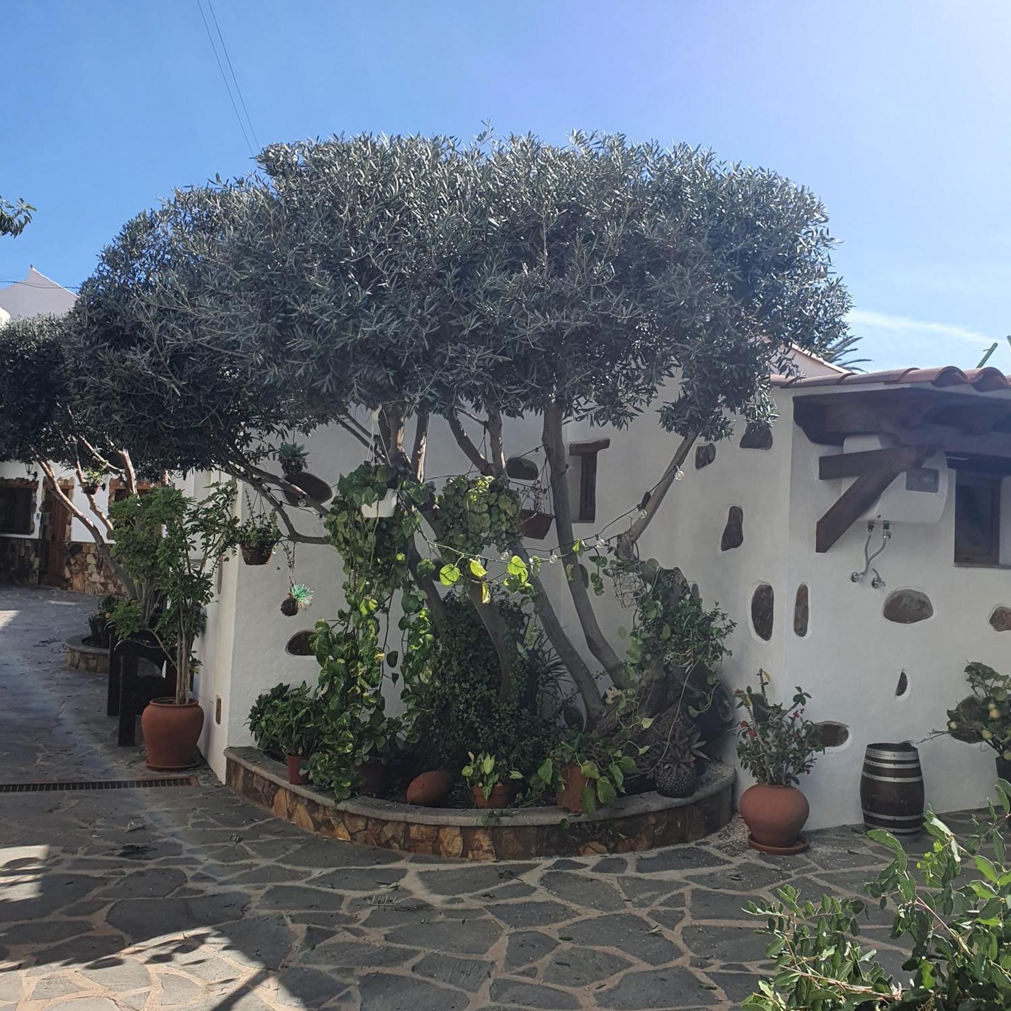 La Gallania De Papa Pepe Santa Lucia De Tirajana Exterior foto