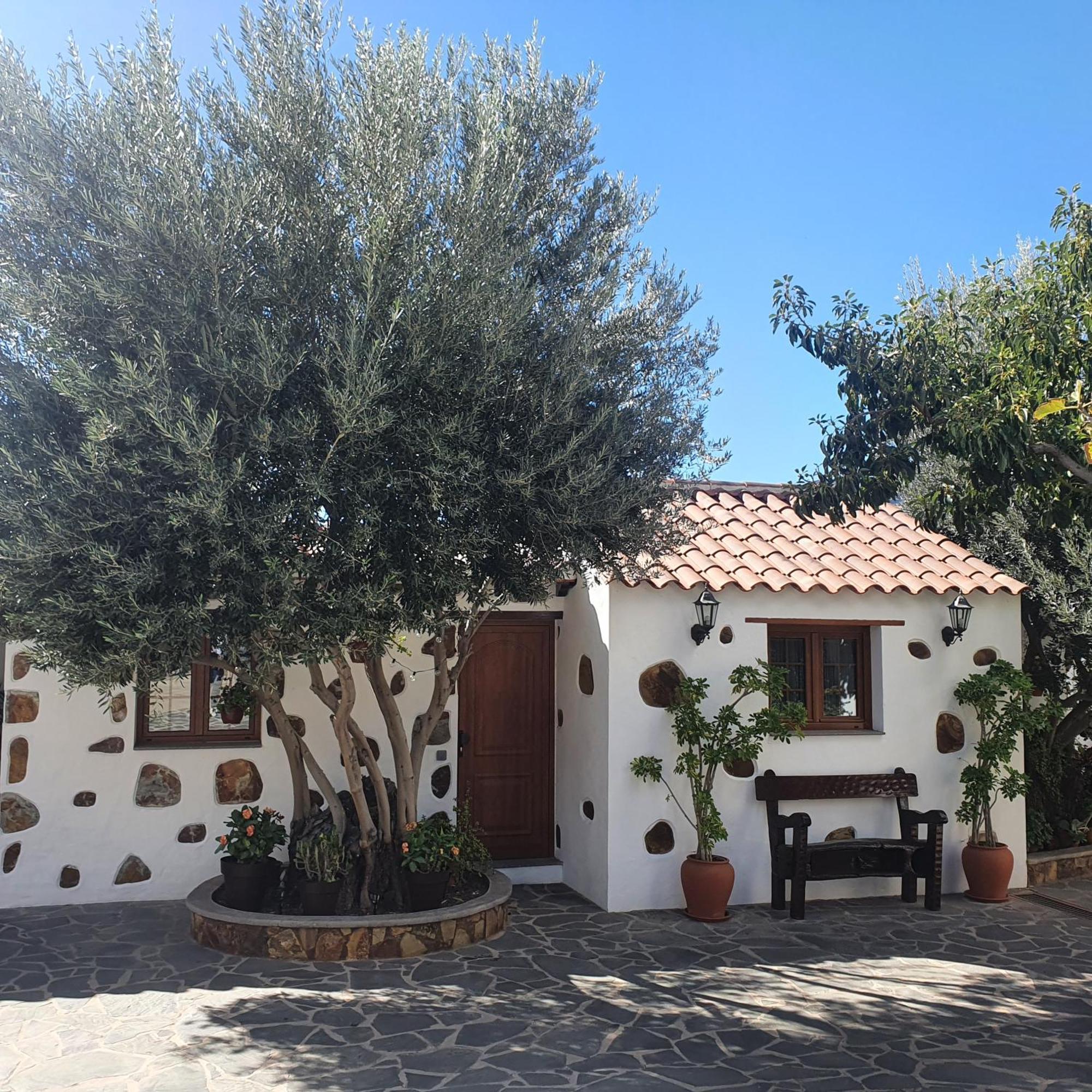 La Gallania De Papa Pepe Santa Lucia De Tirajana Exterior foto